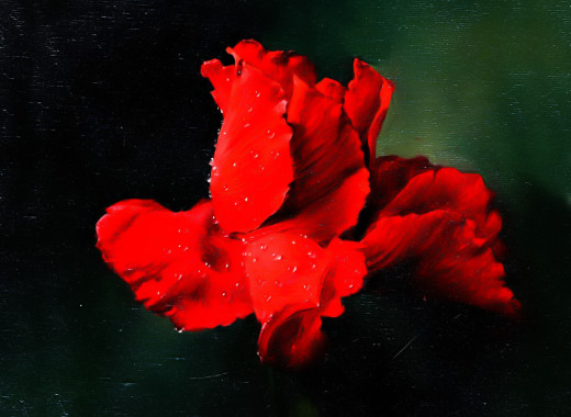 �1753690 �������(a): ����������:1920x1402